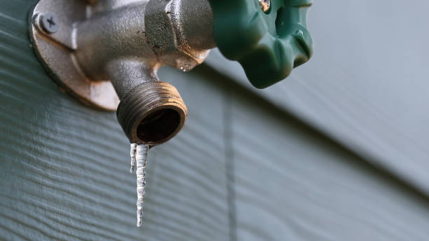 Best Septic Systems  in Half Moon, NC